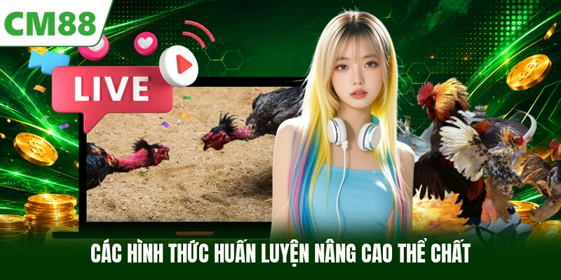 Các hình thức huấn luyện nâng cao thể chất