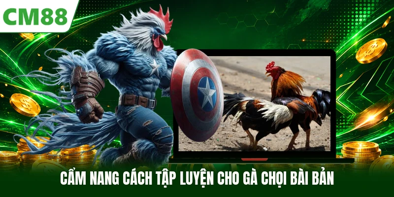 Cẩm nang cách tập luyện cho gà chọi bài bản