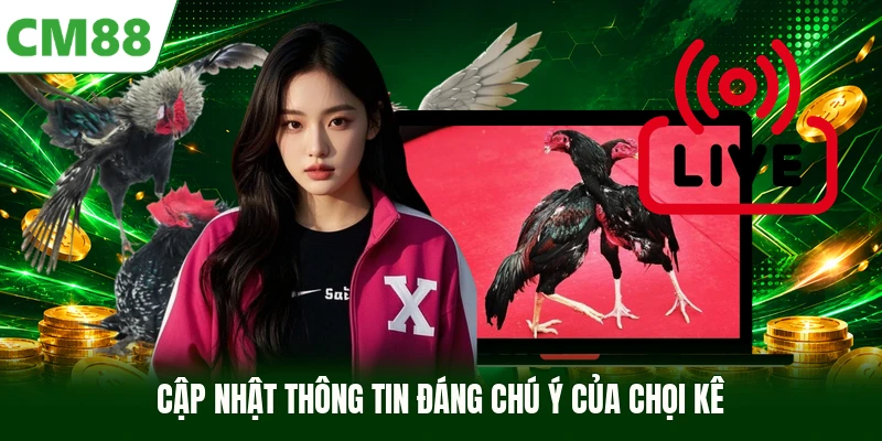 Cập nhật thông tin đáng chú ý của chọi kê