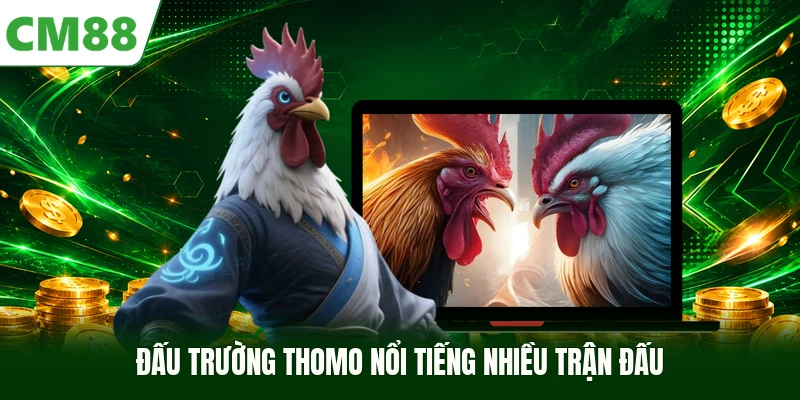 Đấu trường Thomo nổi tiếng nhiều trận đấu