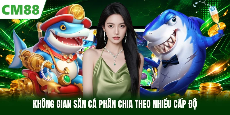 Không gian săn cá phân chia theo nhiều cấp độ