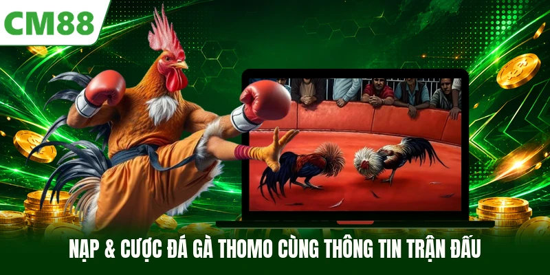 Nạp Cược Đá Gà Thomo cùng thông tin trận đấu