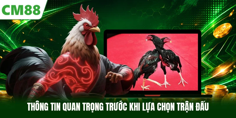 Thông tin quan trọng trước khi lựa chọn trận đấu