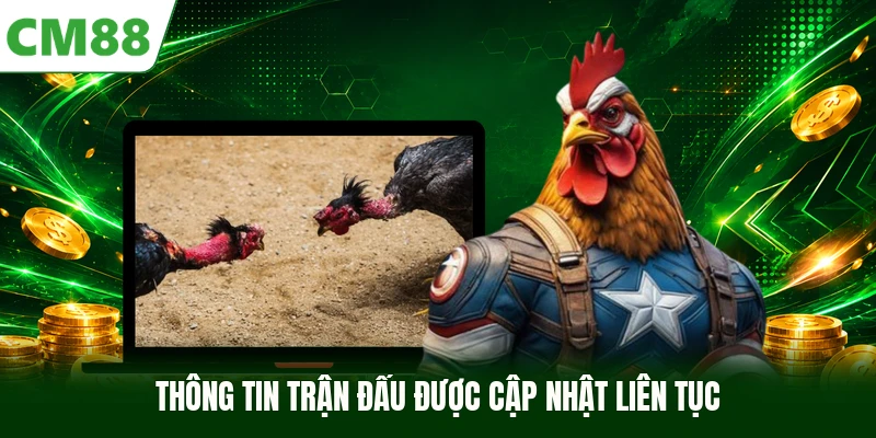 Thông tin trận đấu được cập nhật liên tục