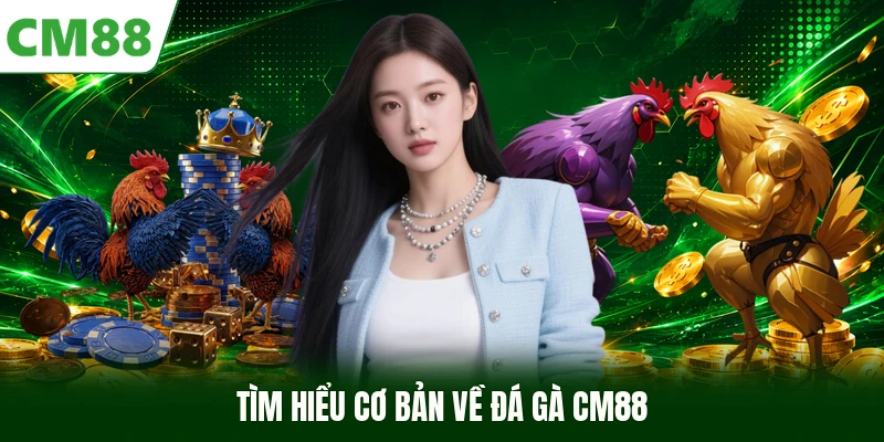 Tìm hiểu cơ bản về đá gà CM88