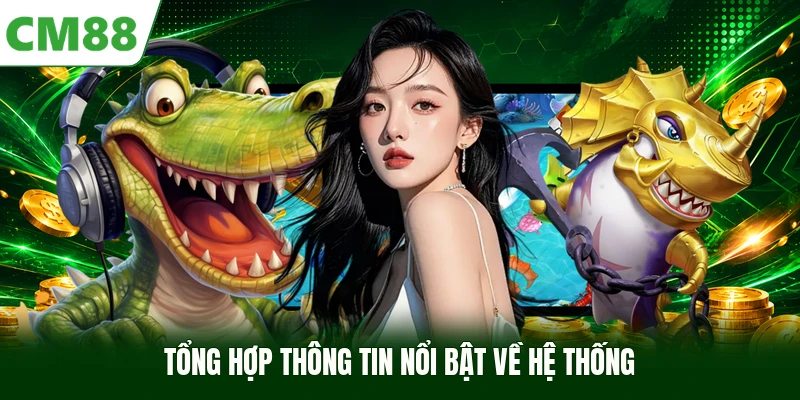 Tổng hợp thông tin nổi bật về hệ thống